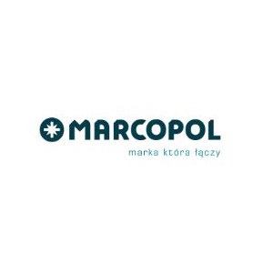 Wkręty do drewna - Marcopol