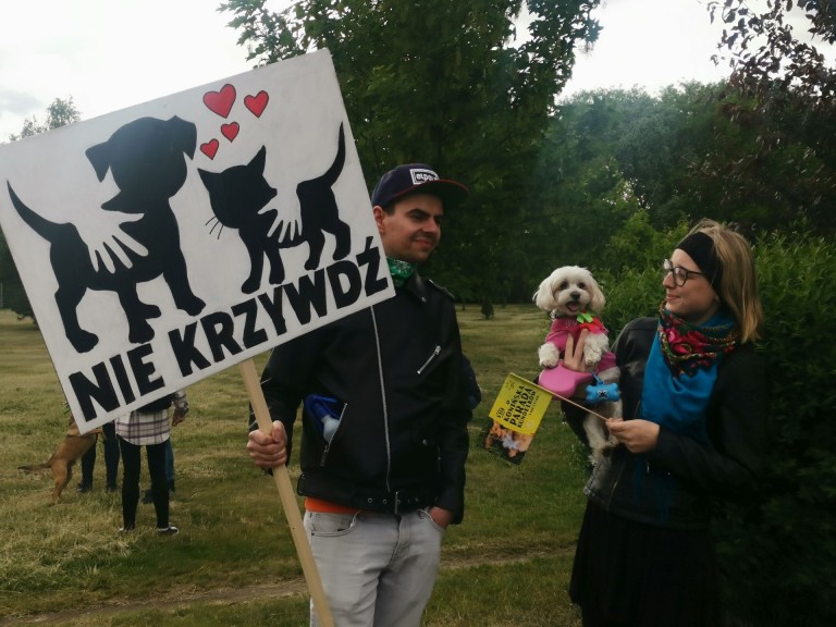 Dzień Praw Zwierząt. Konińska psia parada przeszła przez park