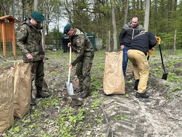 Zielona misja. Służby mundurowe we wspólnej akcji sadzenia drzew